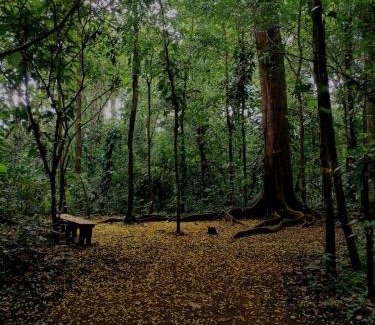 Londres Otro | Camping Finca Planeta Sano