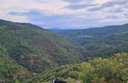 Saint-Germain-de-Calberte Otro | Camping à la ferme