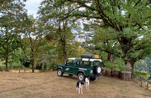Goulles Cabina | camping in rooftent Landrover Defender