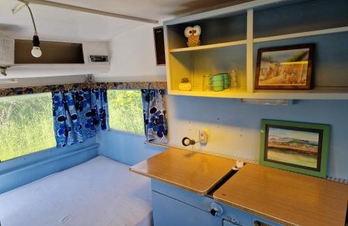 Larochemillay Otro | Camping La Fôret du Morvan Vintage caravan