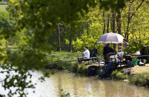 Saint-Leger-de-Fougeret Chalet De Esquí | Camping LA FOUGERAIE * - Panoramic Pond Chalet - 2 bedrooms 5 people