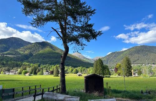 Santa Maria Maggiore Otro | Camping la Pineta