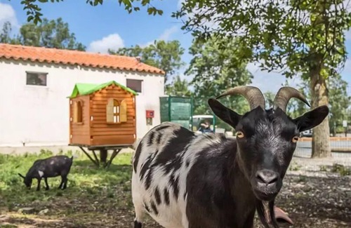 Puyravault Casa | Camping le Merval *** - Mobil home eco 2 bedrooms 4 people