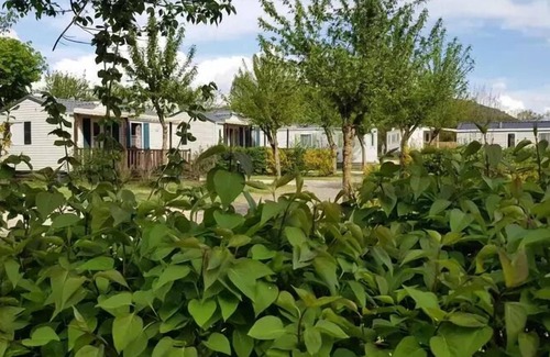 Severac-d'Aveyron Casa | Camping les Calquieres**** - Canvas bungalow 3 rooms 4 people Without sanitary facilities