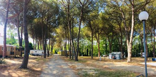 Maureillas-Las-Illas Otro | Camping Maureillas