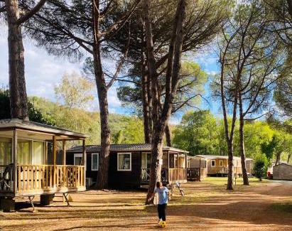 Maureillas-Las-Illas Otro | Camping Maureillas