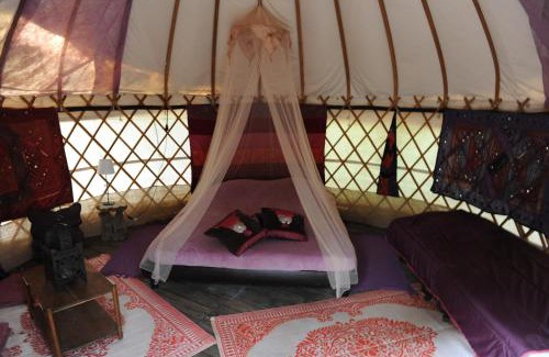 Labastide-de-Virac Otro | Camping Mille Étoiles