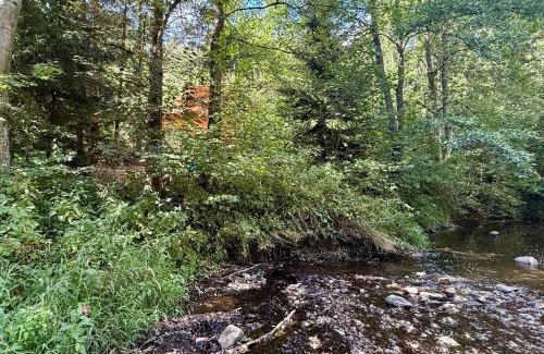 Habri Otro | Camping Mitrov