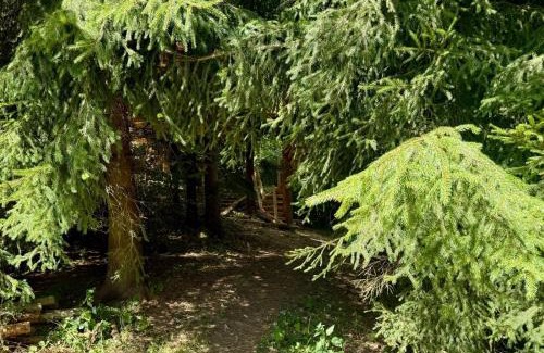 Habri Otro | Camping Mitrov