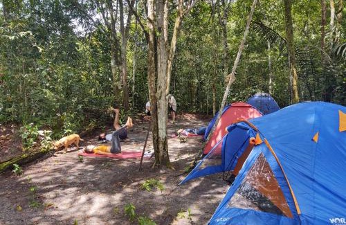 Taruma Otro | Camping na Floresta
