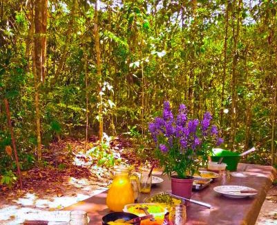 Taruma Otro | Camping na Floresta