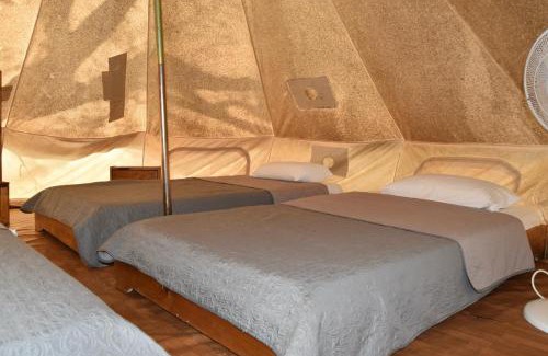 Trago Otro | Camping Oliana