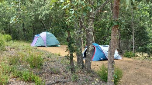 Boule-d'Amont Otro | CAMPING Pleine Nature
