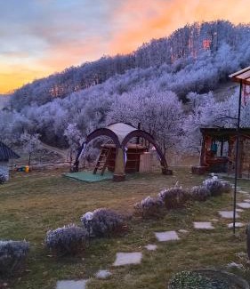 Cristolt Otro | Camping Poiana Stelelor