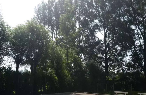 Licques Casa | Camping Pommiers Des 3 Pays**** - 4-room mobile home for 6 people
