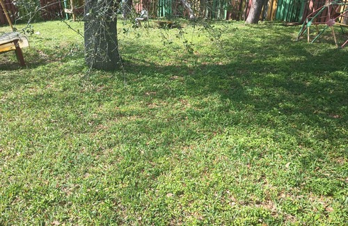 San Souci Estates Alquiler De RV | Camping space for rent. One person tent ⛺ available