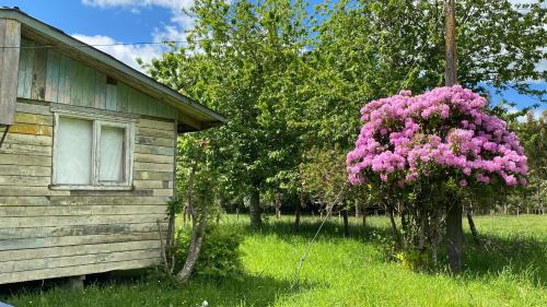 Puyehue Casa | Campo, tranquilidad, relax y buenos paisajes