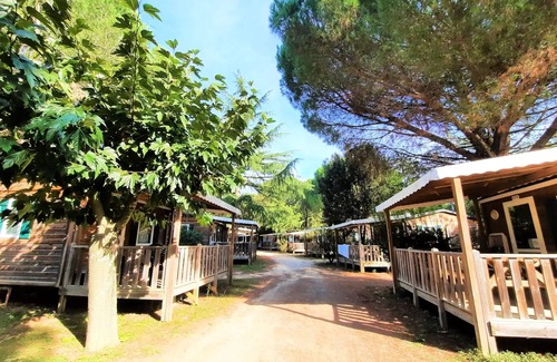 Saint-Jean-Pla-de-Corts Chalet De Esquí | Campsite Les Casteillets *** - Chalet Comfort 16 m2 - 1 bedroom - air conditioning (extra sleeping possibility) 4 persons