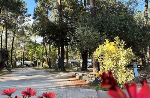 Bollene Casa | Campsite La Simioune in Provence *** - MH PREMIUM MONTSEREIN Air-conditioned - view on forest- 2 bedrooms+ dishwasher +TV (2 adults+2children) 2 to 4 people - 2 pers. i