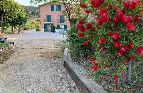 Tiana Casa | Can Ballús Bed&Breakfast