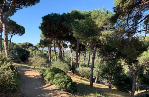 Tiana Casa | Can Ballús Bed&Breakfast