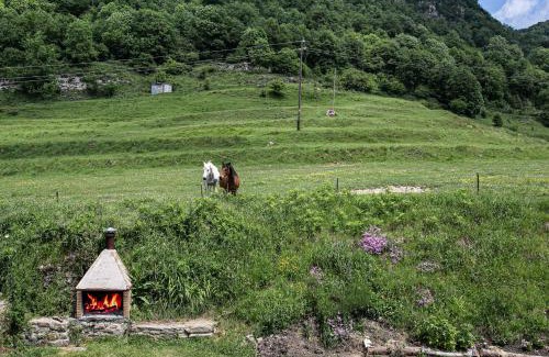 Vidra Apartamento | Can Font de Ciuret, allotjament rural