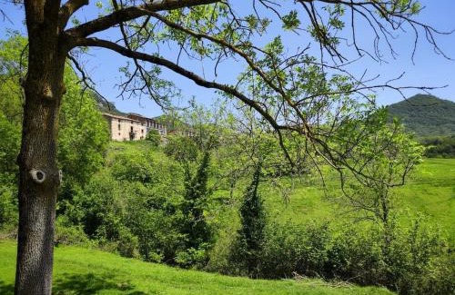 Vidra Apartamento | Can Font de Ciuret, allotjament rural