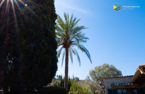 Selva Casa | Can Moreu