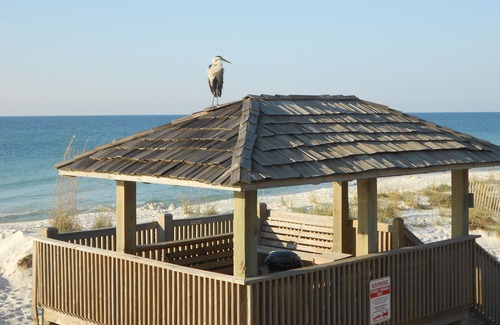 Gulf Shores Condominio | No se puede superar esta vista directa al mar! ¡Solo a pasos de la playa!