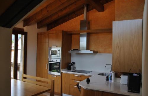 Sant Joan de Les Abadesses Apartamento | Can Taga Verd St Joan