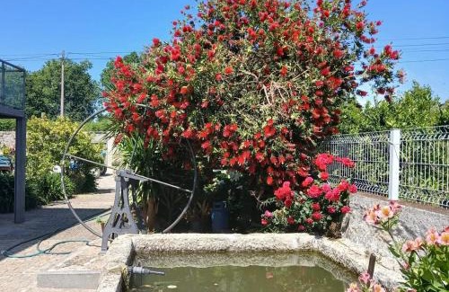 Vouzela Casa | Candieira