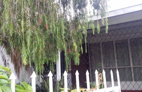Harare Cabaña | Candy's Cottage, Villa Monacco