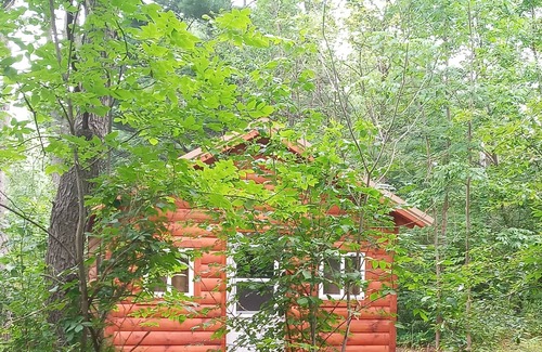 Luther Cabina | Cannabis Creek Cabin (with extras)
