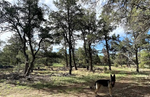 Quemado Alquiler De RV | Cannabis friendly camping