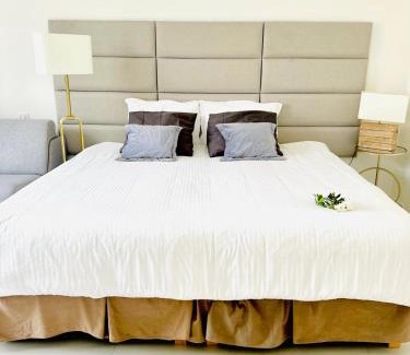 Cannes City Centre Apartamento | Cannes Croisette - Studio Palais Miramar - Across the Beach - Next to Carlton Hotel