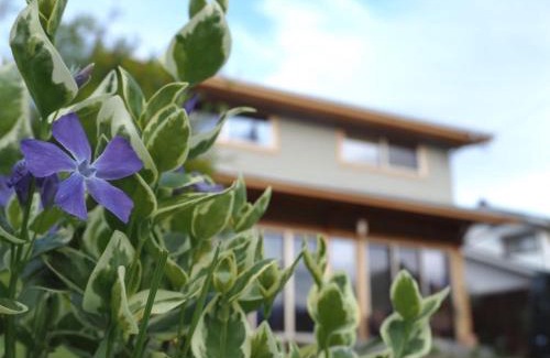 Ikeda Casa | CANOA GUEST HOUSE B room- Vacation STAY 47218v