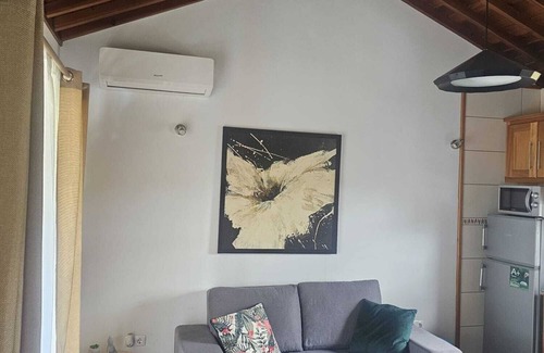Madalena Casa | Canopus star house.