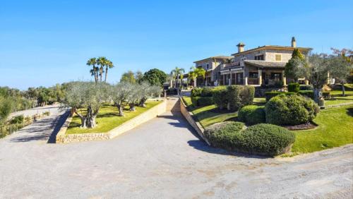 Ariany Villa | Canova