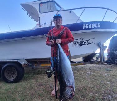 Simon's Town Alquiler De Eote | Cape Marine Adventures