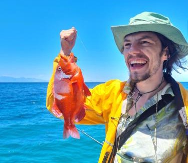 Simon's Town Alquiler De Eote | Cape Marine Adventures