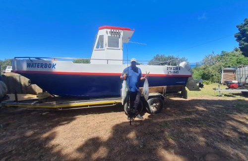 Simon's Town Alquiler De Eote | Cape Marine Adventures