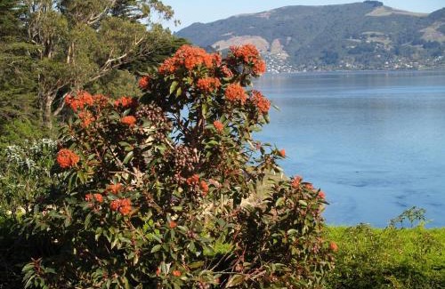 Portobello Cama Y Desayuno | Captain Eady's Lookout