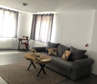 Sighisoara Casa | Caraiman House