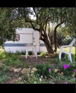 Almonte Otro | Caravana acogedora con piscina "Amantes de la naturaleza"