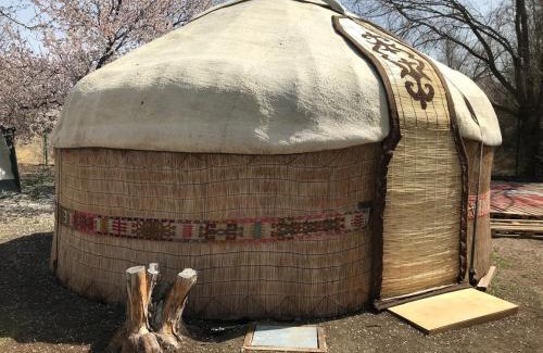 Almaty Province Otro | Caravansarai campsite Кемпинг Караван-сарай