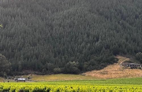 Tuamarina Apartamento | Caravino - Above the Vines