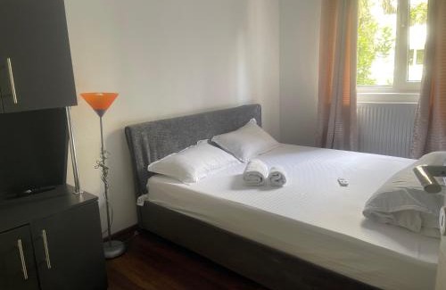 Ramnicu Valcea Apartamento | Carlitos apt