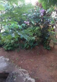 Barbalho Casa | CARNAVAL 2025 em SALVADOR
