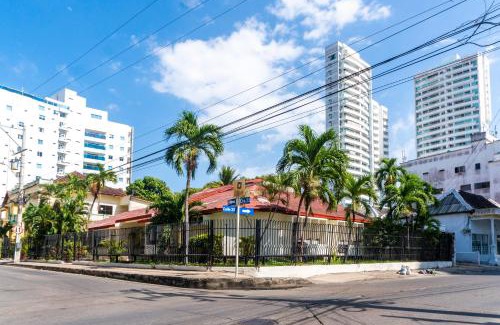 Chino Casa | Cartagena Classics - Omega House