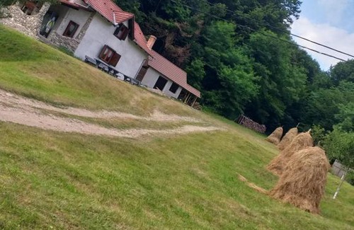 Pianu de Sus Casa | Casă de vacanţă